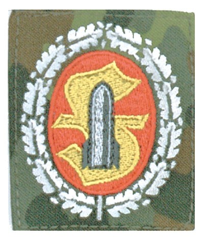 BW insigne personnel munitions camouflage/coloré