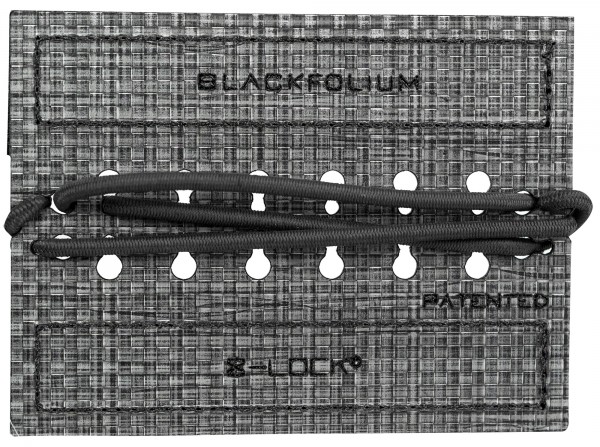 Blackfolium 8-Lock EDC Utility - 4 Organizer Panel
