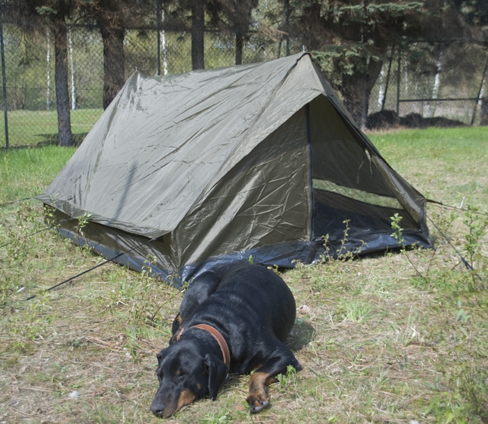 Mil-Tec Zweimannzelt Mini Pack Campingzelt Zelt Trekkingzelt 205 x 145 x 100 cm 