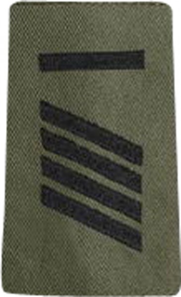 BW Certificat de grade de caporal-chef des Forces terrestres Oliv/Schw.
