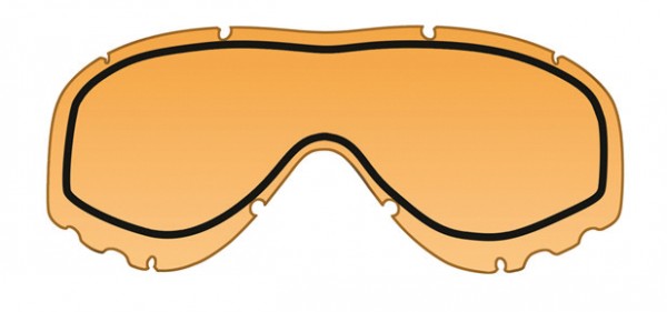Wiley X Spear Dual Schutzbrille Doppelglasscheibe