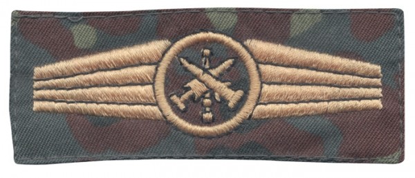 BW Insigne d'activité Pers. armes de surface Camouflage/or