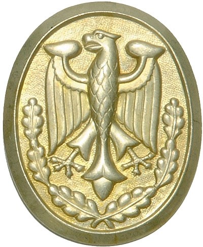 Odznaka Strzelecka BW z kordzikiem złota