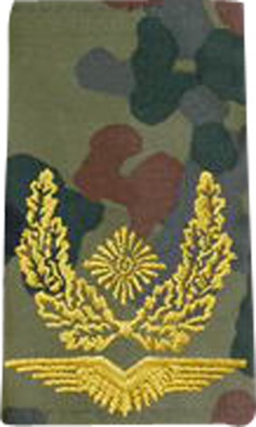 BW Rangschl. Brigadegeneral LW Tarn/Gold