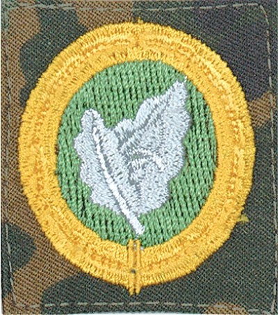 Textile Badge Forces with Extended Basic Capability Flecktarn
